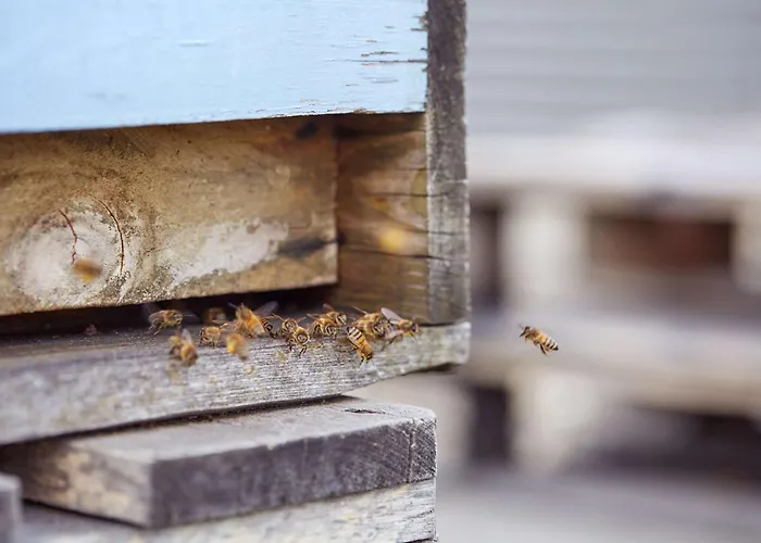 スカンディック ポツダム プラッツ