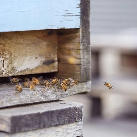 Scandic Potsdamer Platz